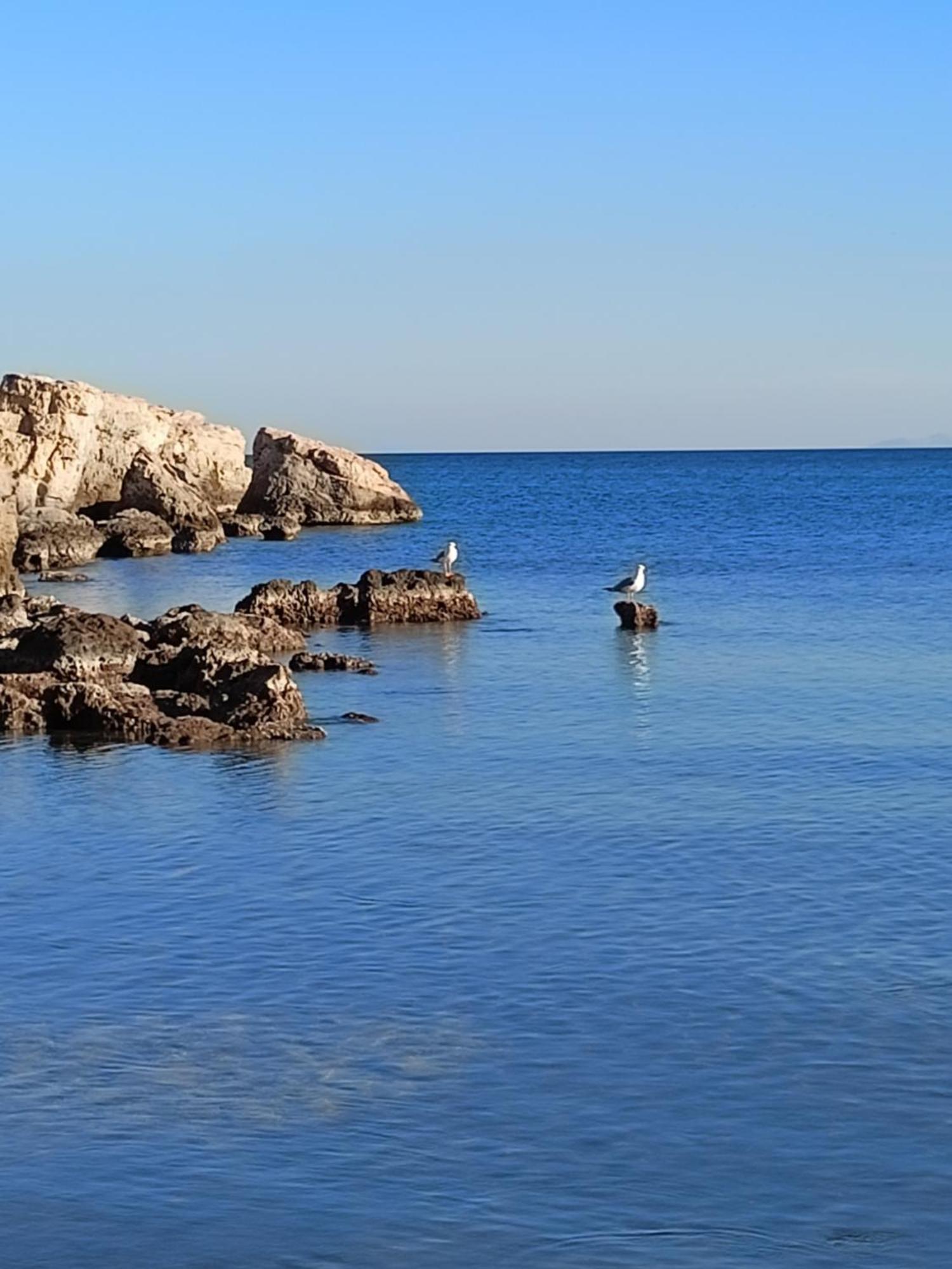 Finikas Rooms Agia Marina  외부 사진