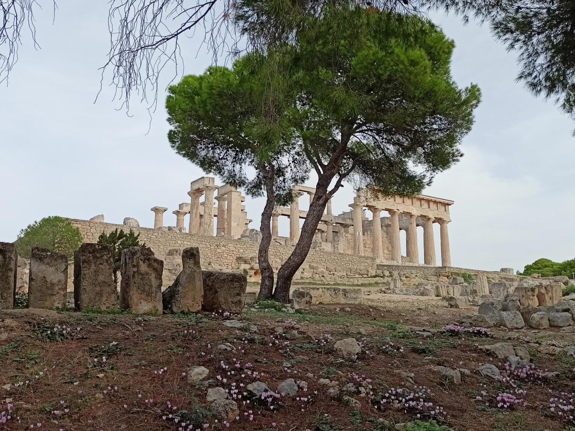 Finikas Rooms Agia Marina  외부 사진