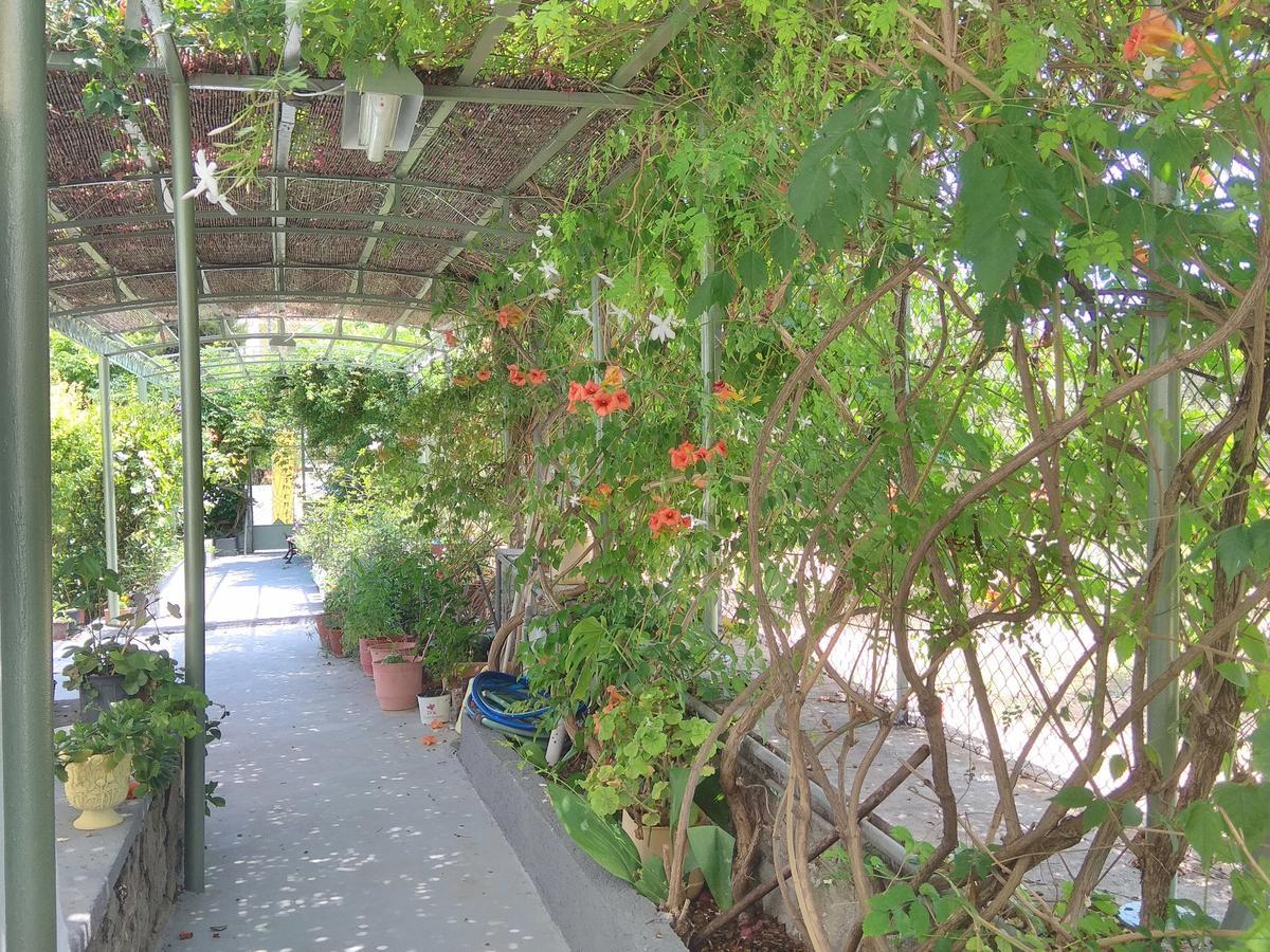 Finikas Rooms Agia Marina  외부 사진